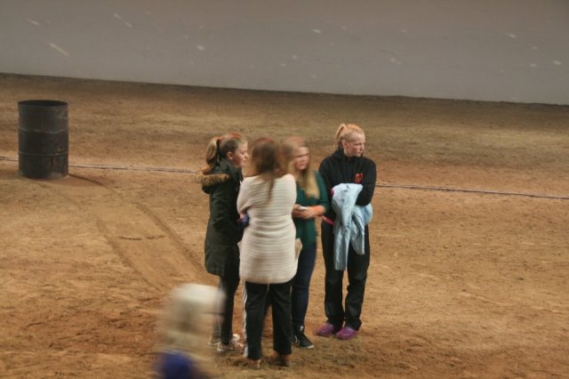 Æskulýðsnefnd-Heimsókn Dana frá Fjóni 2014