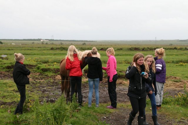 Æskulýðsnefnd-Heimsókn Dana frá Fjóni 2014