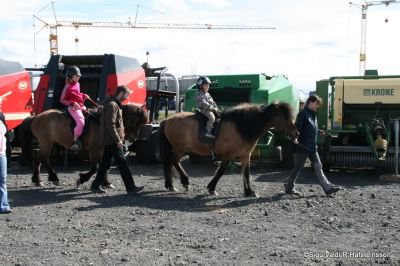 Sunnlenskir sveitadagar 2011
