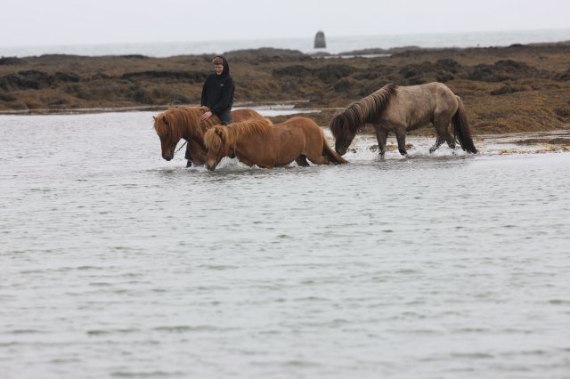 Baðtúr 2008