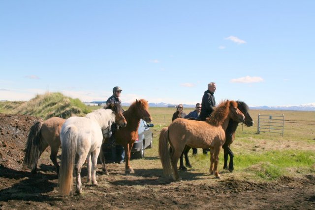 Sumarferð Sleipnis 2015
