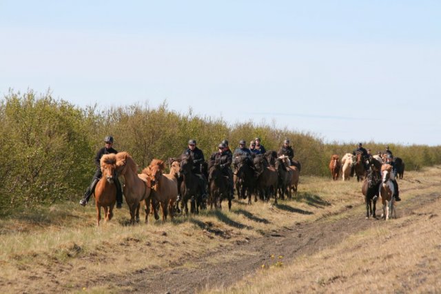 Sumarferð Sleipnis 2015