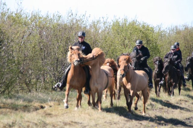 Sumarferð Sleipnis 2015