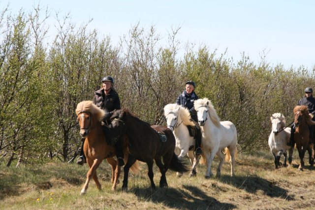 Sumarferð Sleipnis 2015