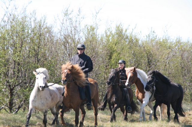 Sumarferð Sleipnis 2015