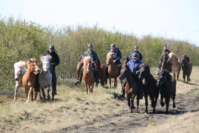 Sumarferð Sleipnis 2015