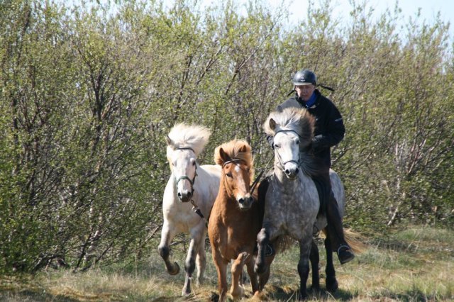 Sumarferð Sleipnis 2015