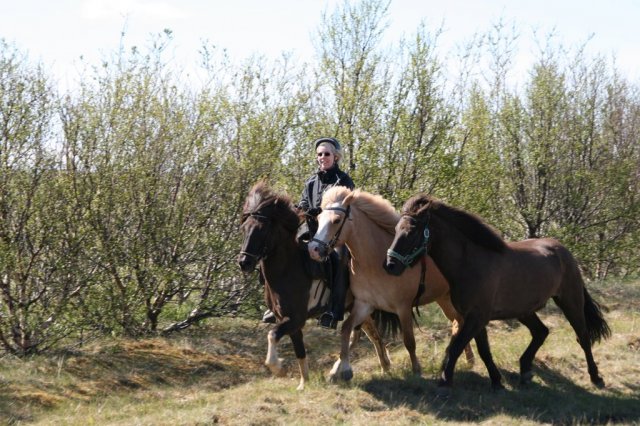 Sumarferð Sleipnis 2015