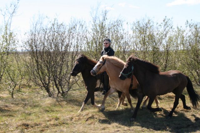 Sumarferð Sleipnis 2015