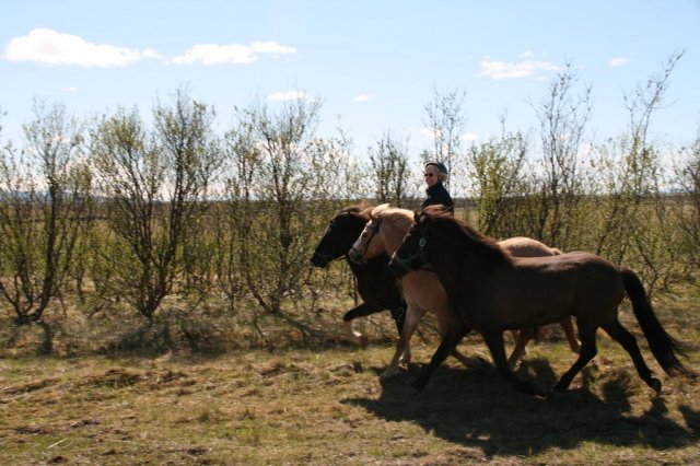 Sumarferð Sleipnis 2015