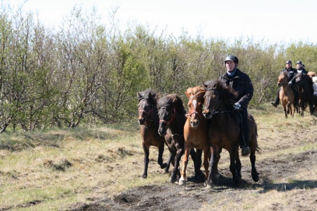 Sumarferð Sleipnis 2015
