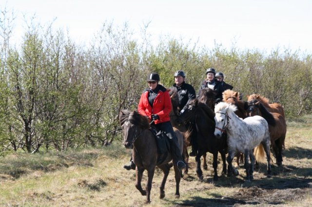 Sumarferð Sleipnis 2015