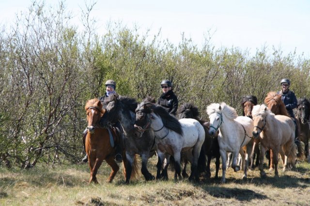Sumarferð Sleipnis 2015