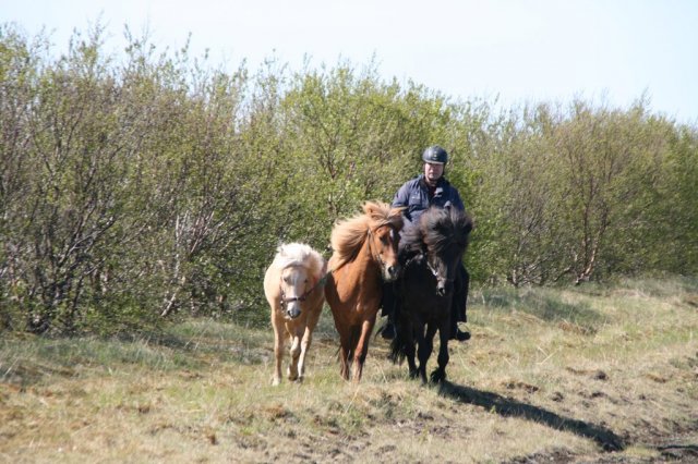 Sumarferð Sleipnis 2015