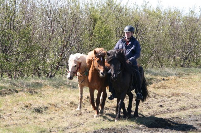 Sumarferð Sleipnis 2015