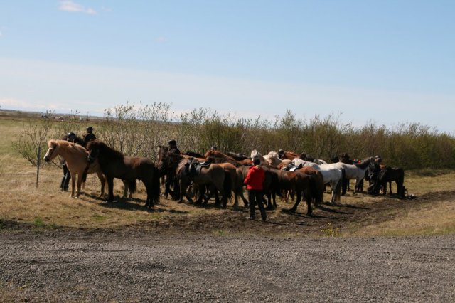 Sumarferð Sleipnis 2015