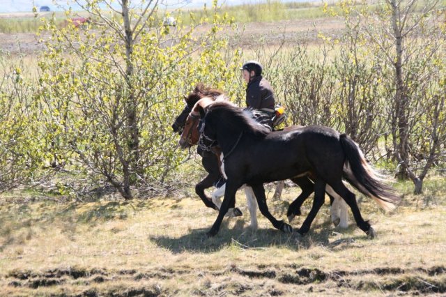 Sumarferð Sleipnis 2015