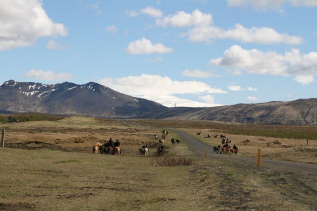 Sumarferð Sleipnis 2015