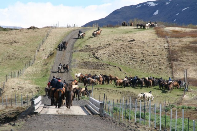 Sumarferð Sleipnis 2015