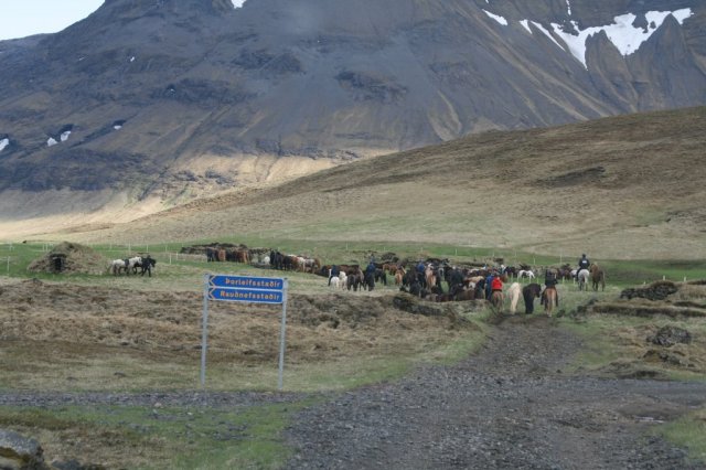 Sumarferð Sleipnis 2015
