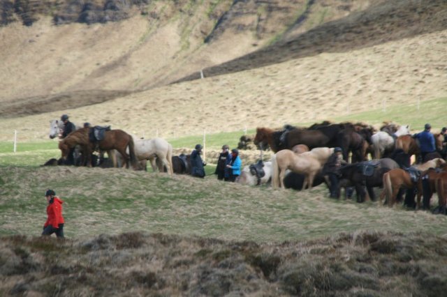 Sumarferð Sleipnis 2015