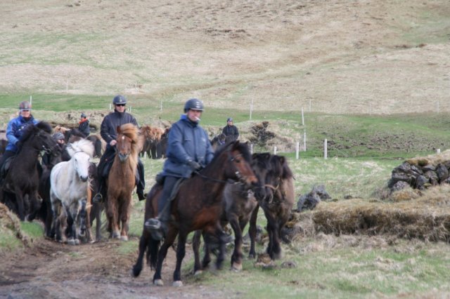 Sumarferð Sleipnis 2015