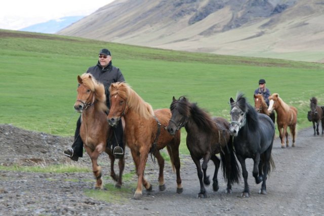Sumarferð Sleipnis 2015