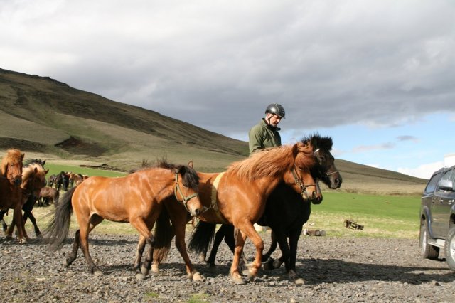 Sumarferð Sleipnis 2015