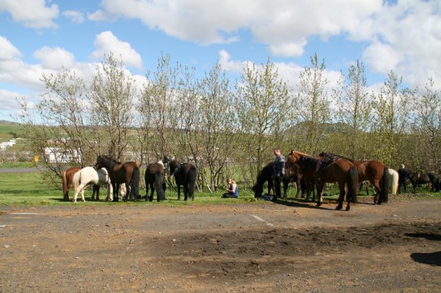 Sumarferð Sleipnis 2015