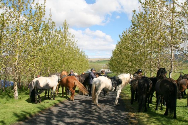 Sumarferð Sleipnis 2015