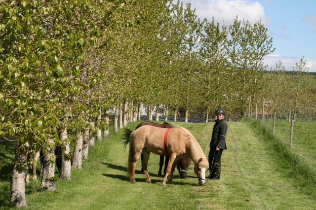 Sumarferð Sleipnis 2015