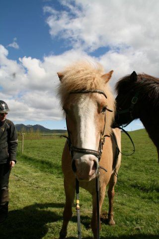 Sumarferð Sleipnis 2015