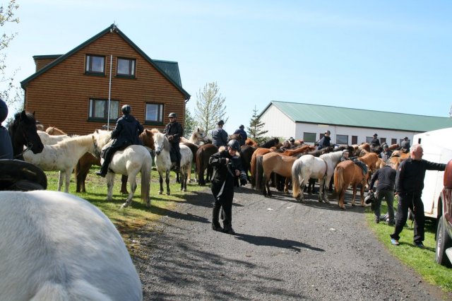 Sumarferð Sleipnis 2015