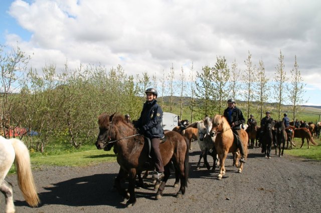 Sumarferð Sleipnis 2015