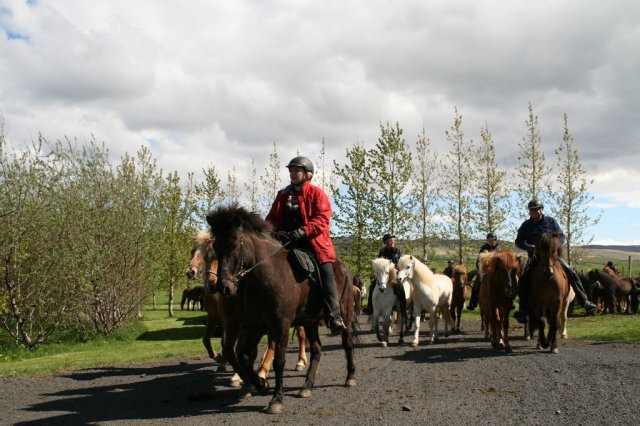 Sumarferð Sleipnis 2015