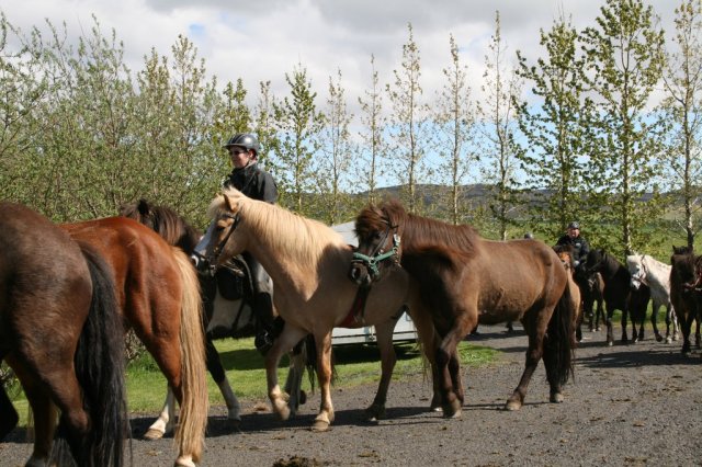 Sumarferð Sleipnis 2015