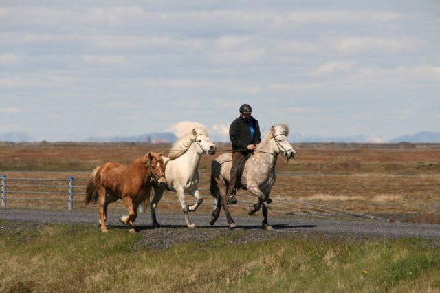 Sumarferð Sleipnis 2015