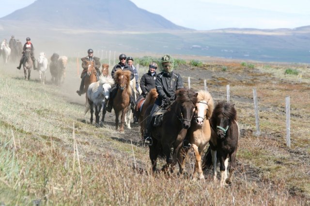Sumarferð Sleipnis 2015