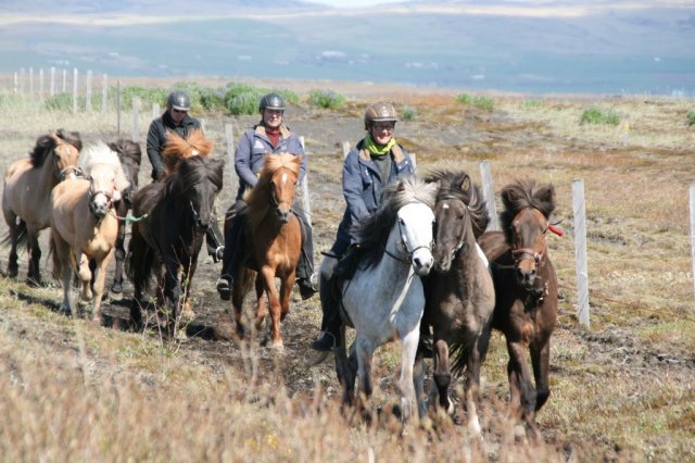 Sumarferð Sleipnis 2015