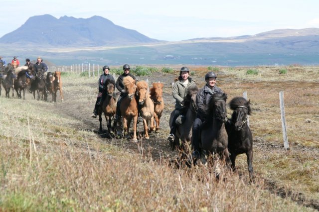 Sumarferð Sleipnis 2015