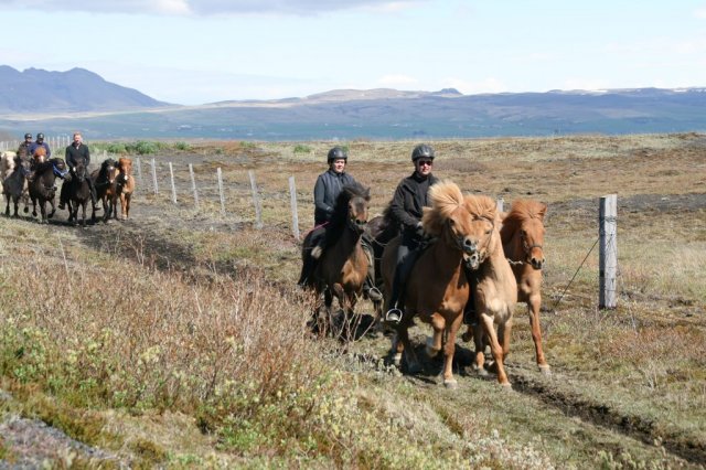 Sumarferð Sleipnis 2015