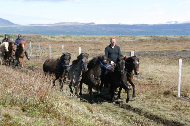 Sumarferð Sleipnis 2015