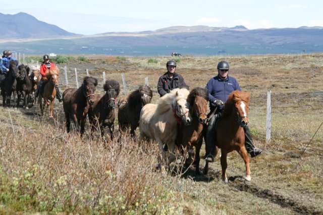 Sumarferð Sleipnis 2015