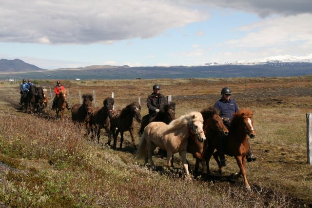 Sumarferð Sleipnis 2015