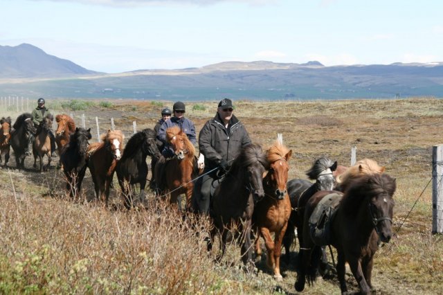Sumarferð Sleipnis 2015