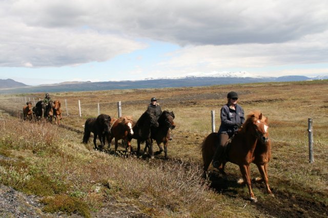 Sumarferð Sleipnis 2015