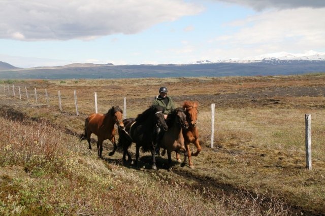 Sumarferð Sleipnis 2015