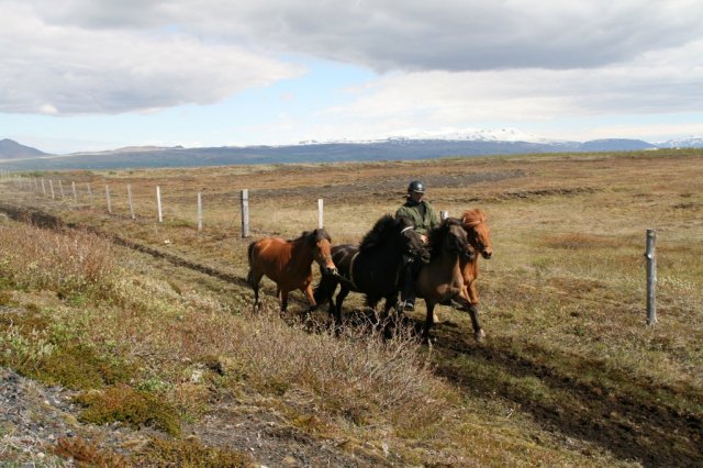Sumarferð Sleipnis 2015