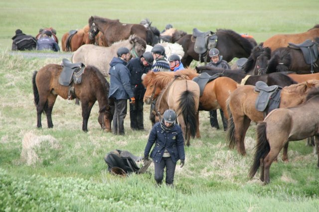 Sumarferð Sleipnis 2015