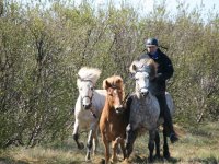 Sumarferð Sleipnis 2015